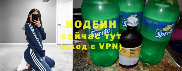 прущий лед Новозыбков