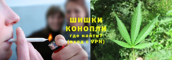 прущий лед Новозыбков