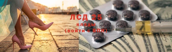 прущий лед Новозыбков