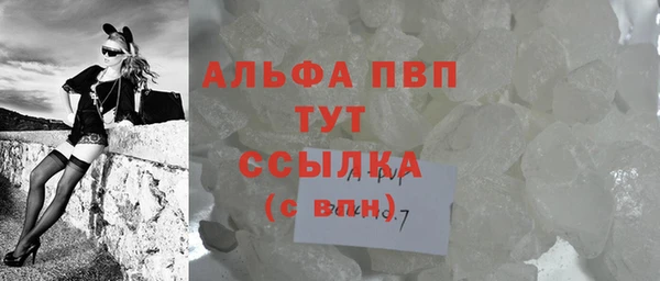 прущий лед Новозыбков