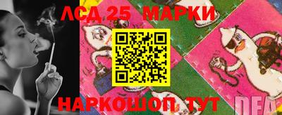 прущие грибы Ирбит
