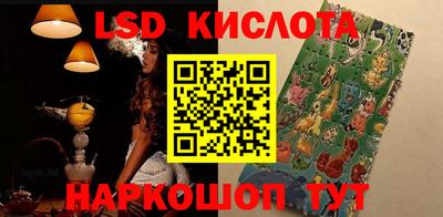 прущие грибы Ирбит