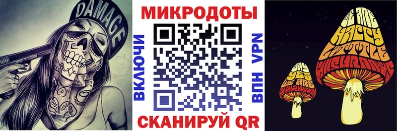 Галлюциногенные грибы прущие грибы дарк нет как зайти Кулебаки