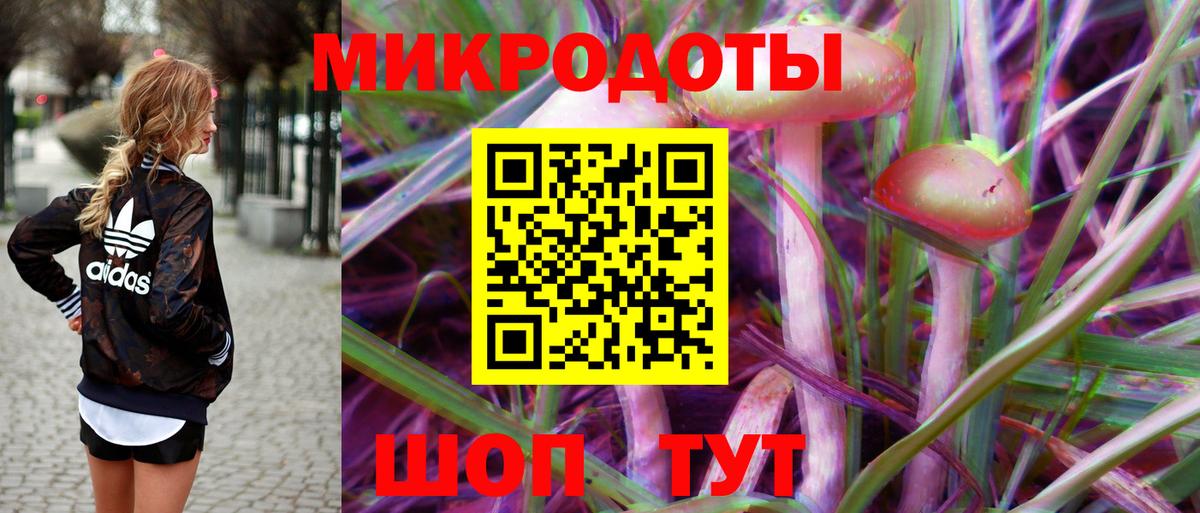 Псилоцибиновые грибы прущие грибы Кулебаки