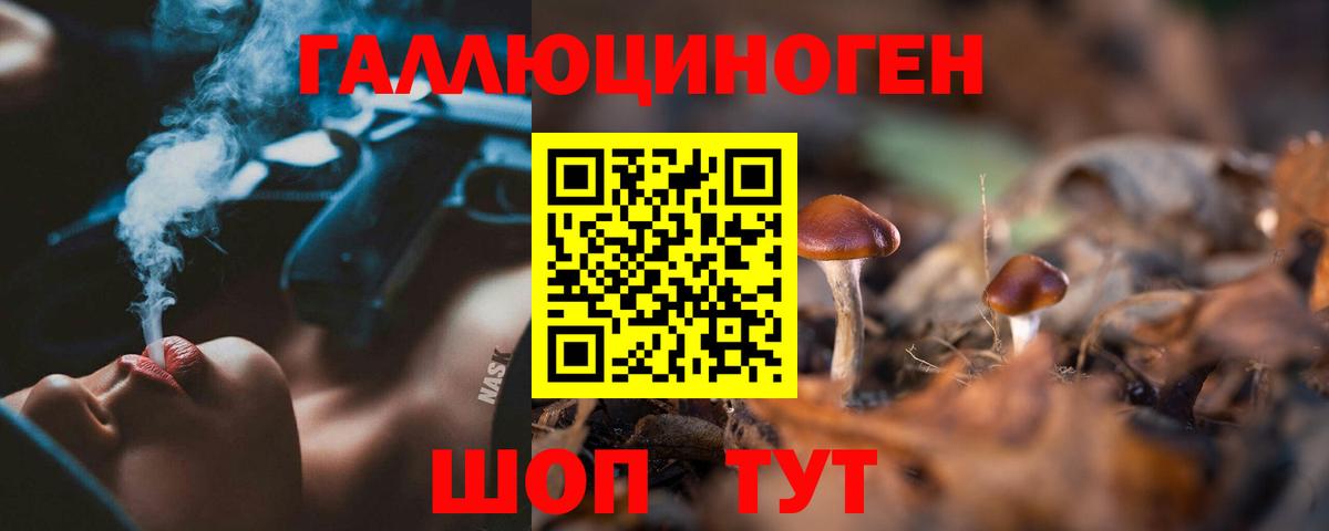 Галлюциногенные грибы прущие грибы  Вход с VPN  Кулебаки 